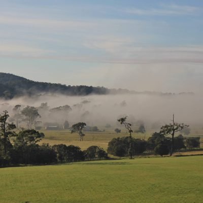 affa5d62a10a2ac18cf2c486e26d4a2f (1) (1)